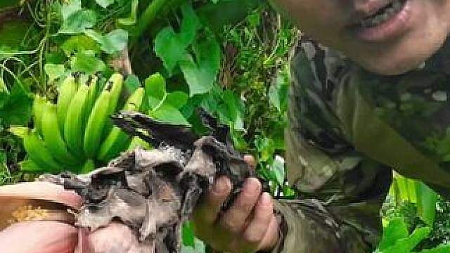 《荒野食神》海岛篇03大岛资源丰富，进入养膘模式 你们真害苦我了