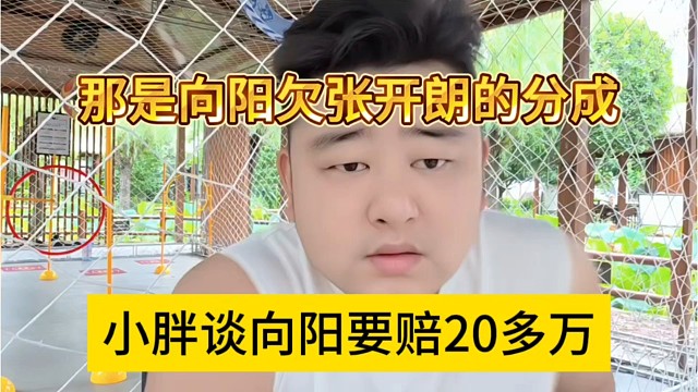 小胖谈向阳要赔那是向阳欠张开朗的分成20多万，