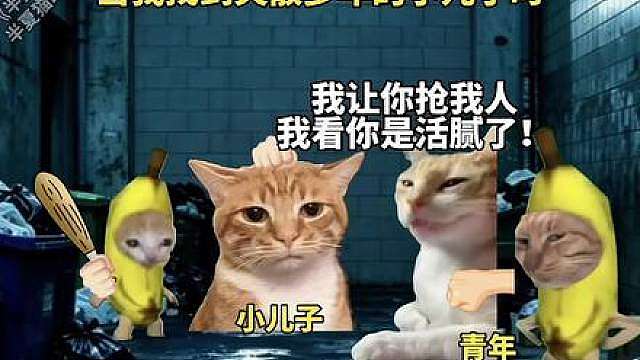 《半夏胡崽》1-3