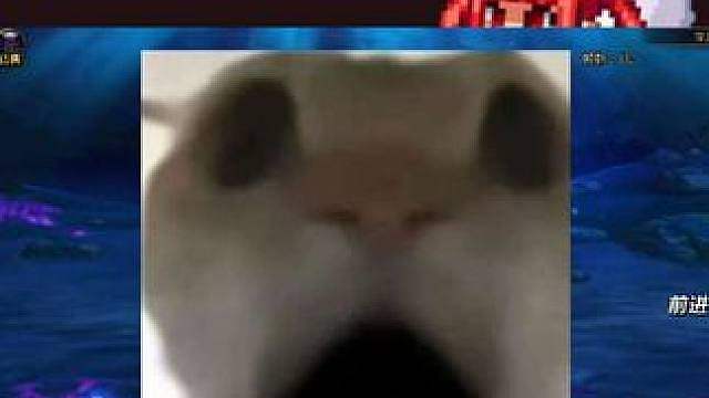 谁又能想得到呢？契约毕业近在咫尺！