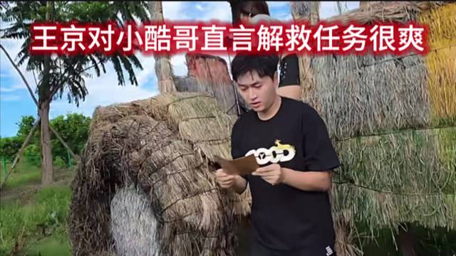王京对小酷哥直言解救任务很爽