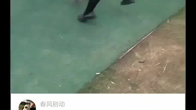 小女儿：妈妈你快点啊，我怕