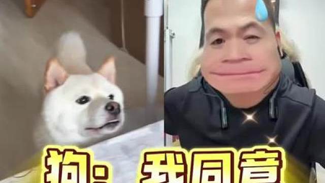 不行当哥们吧