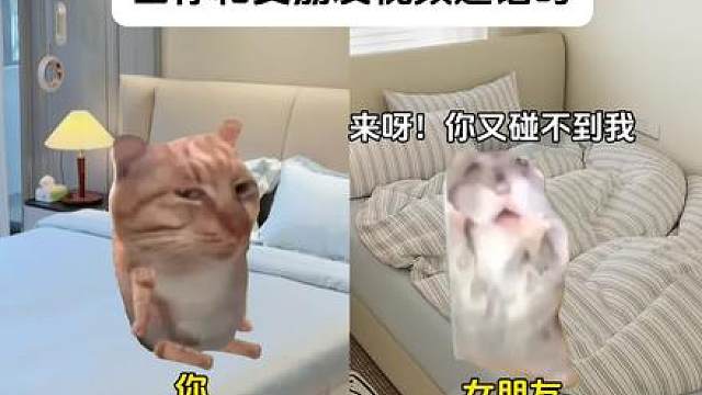 当你和女朋友视频通话时