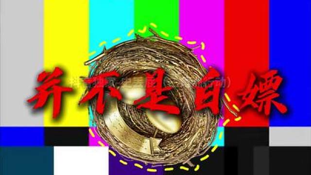 这个鸟窝我有两颗！