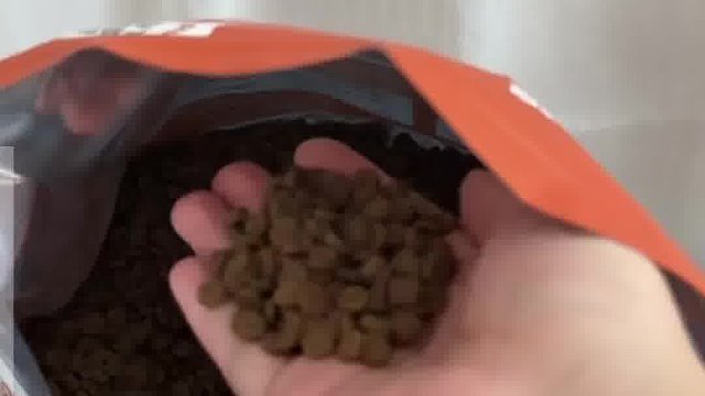 劝告新手铲屎官，不要再喂这种猫粮