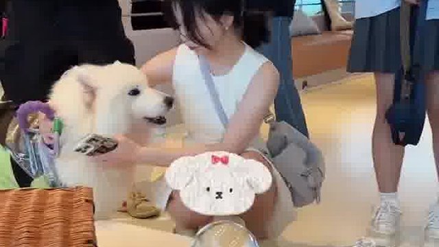 大逼兜不分种族，都管用  -