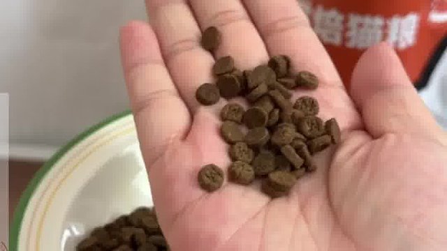 希喂猫粮喂了，不信有这么好喂。。。