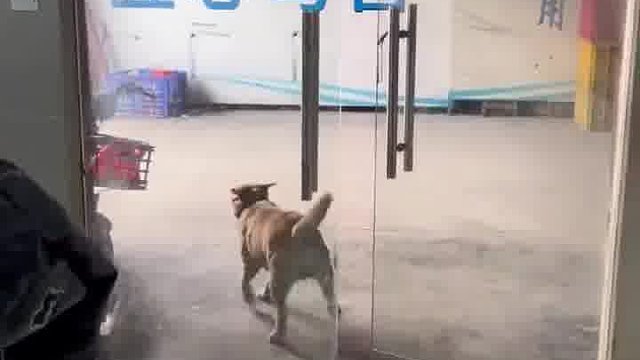 差点狗命不保。  -