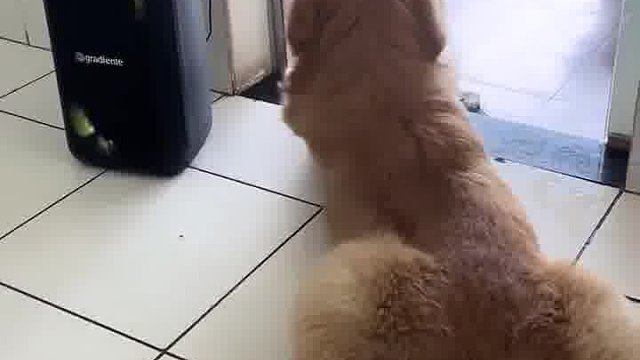 难道这就是传说中的酷狗音乐