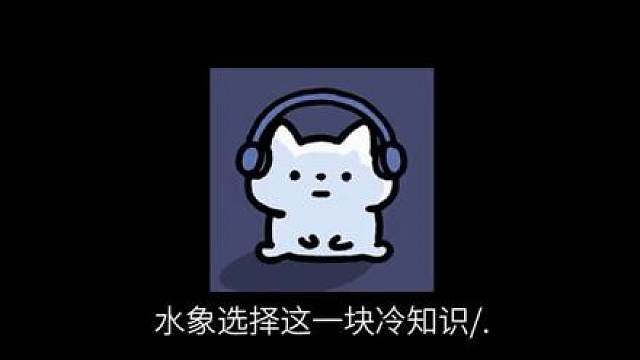 水象选择这一块/.