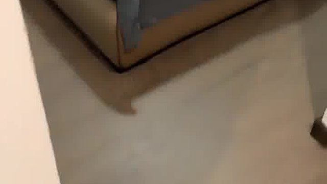快撒糯米