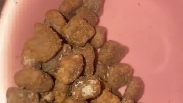 狗粮用鲜肉做的对狗狗有多好？想买个好狗粮
