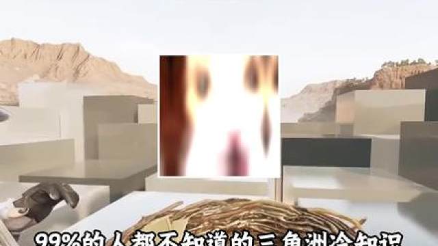 99%玩家不知道的三角洲冷知识，你知道多少?（第四期）