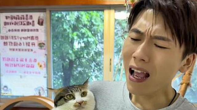 家里猫猫多了手机内存真的扛不住 一打开相册全是自家猫猫的视频，没拍多久就提示内存不足，实在是太能占空间了。