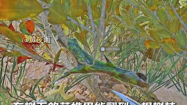 从夯到拉排名三角洲二周年所有彩蛋！看看哪个是让你做到崩溃的？