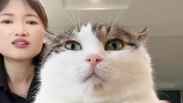 小猫也能开播 教你如何对待恶评
