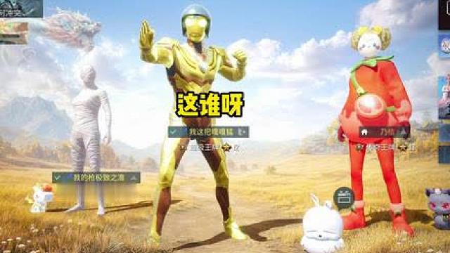 这期下血本了！
