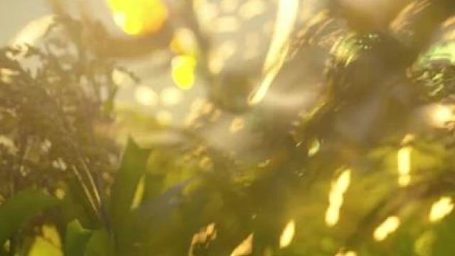 那一年，王者的周年皮肤选择了最有意义的打法：