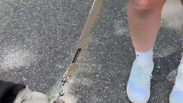 我好像听得懂英语了  -