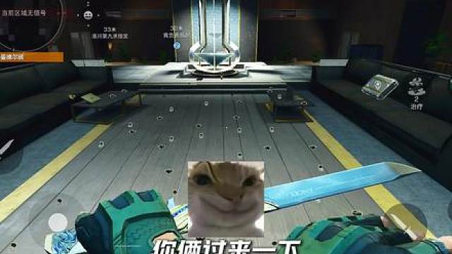 “两只契约兽”