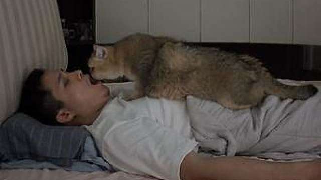 被猫掐死或捂死的概率并不为0