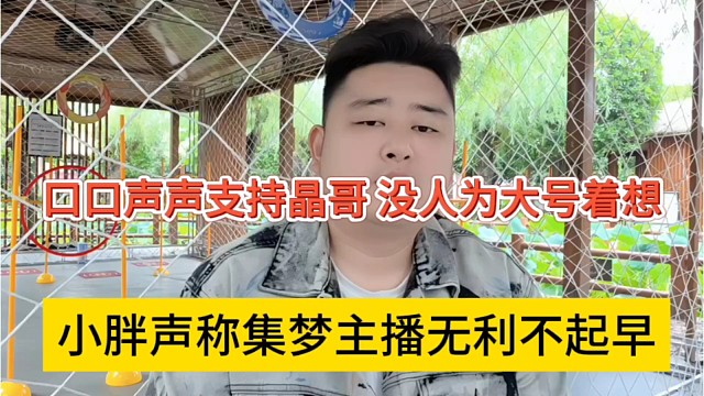 小胖声称集梦主播无利不起早，口口声声支持晶哥，没人为大号早想