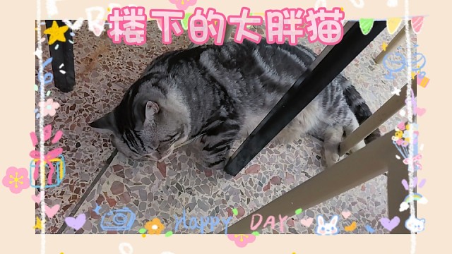日常发现