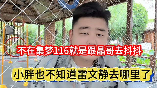 小胖也不知道雷文静去哪里，不在集梦116是晶哥去抖抖
