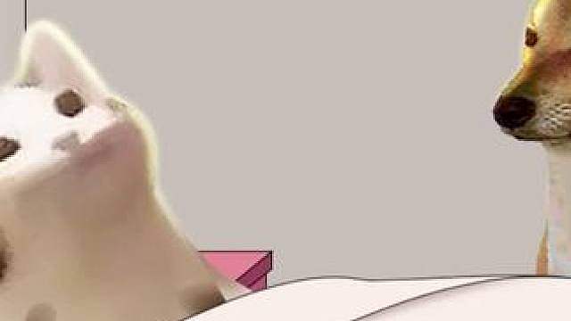 靠近就是任务