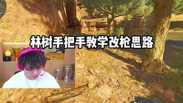 林树手把手新手向教学改枪介绍