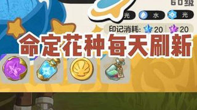 命定花种每天四点自己刷新，概率出现炫彩与异色