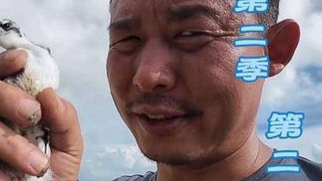 海岛第二季： 第二集寻地搭庇护所，老友蹭饭挖牛大力