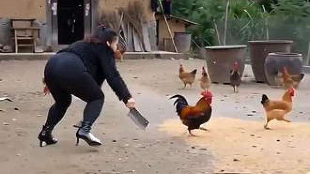 娱乐搞笑，看一遍笑一遍，只为逗你一笑。