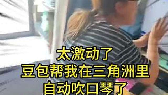 三角洲自动吹口琴工具 豆包生成三角洲自动吹口琴工具教程 三角洲自动吹口琴软件