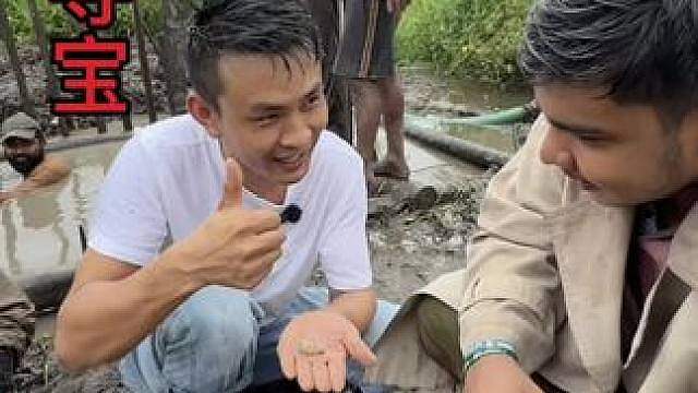 锡兰寻宝