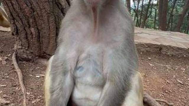 不愧是老演员，只看一双眼睛就能读懂猴哥的内心戏。