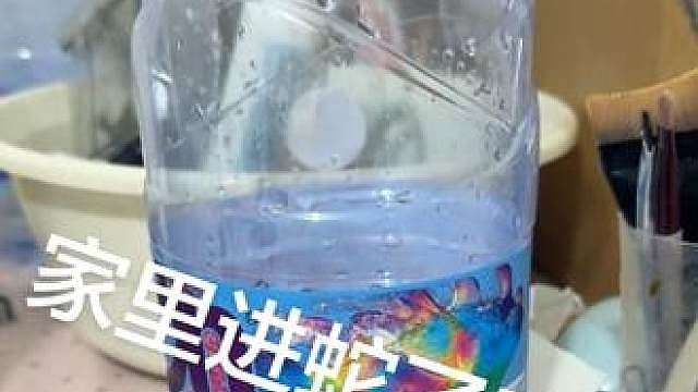 对不起，我高度近视把掉毛认成蟒毛了