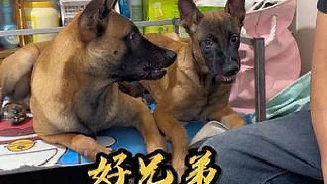 杰森并不怂，只是在忍让。