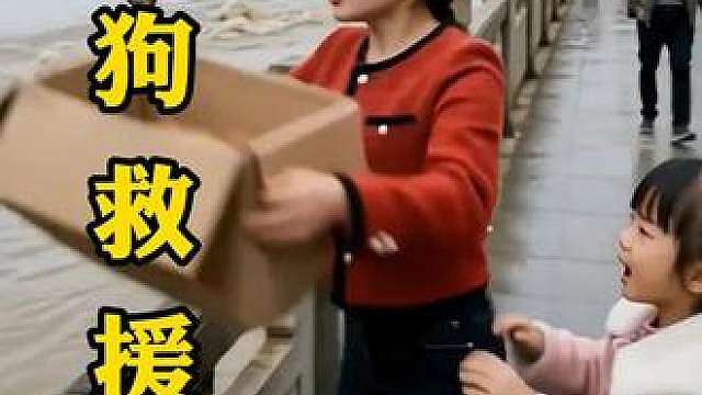 狗狗救援，被弃猫咪一家 狗狗救援，被弃猫咪一家