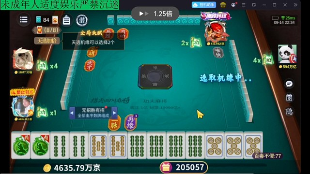 功夫麻将