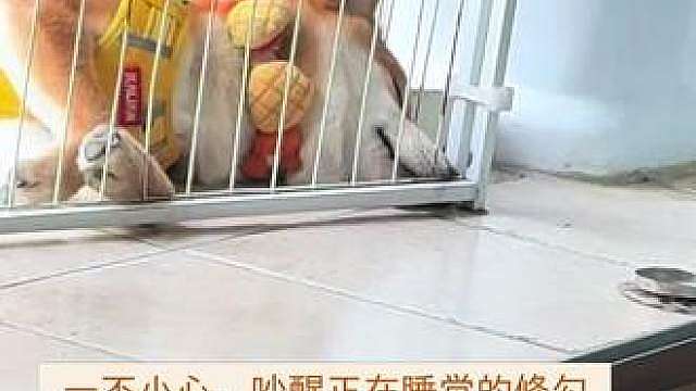 眼神里面全是情绪