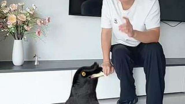 挑战骑遇不一样的哈啰