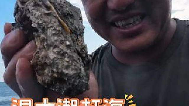 荒野食神海岛篇(8)退大潮赶海 收获珍稀蚝蟹 意外觅得成片牛大力 日暮与同伴共享海鲜大餐。