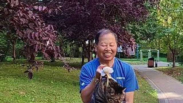 大花卷又出来遛弯了