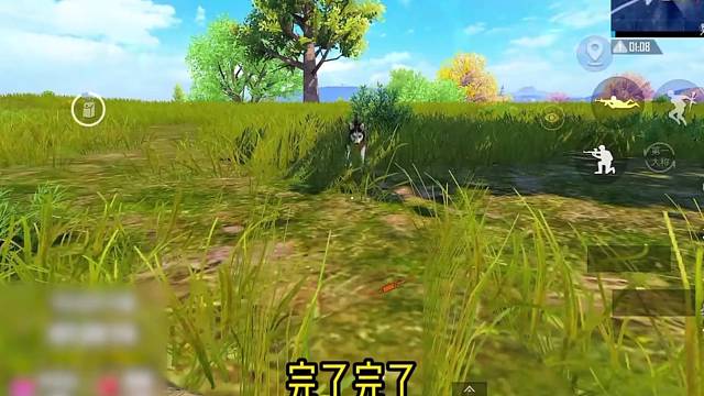 【妻九】如何苟进决赛圈之布鲁斯走开……
