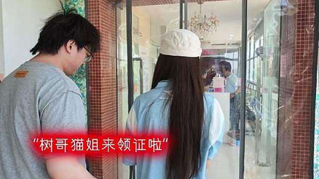 林树猫猫晴来领证啦