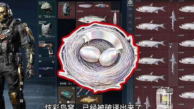二周年彩蛋 炫彩鸟窝 已经破译，还不赶紧上号！