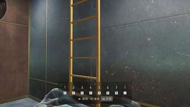 这么可爱的鼠鼠为啥不能养2.0
