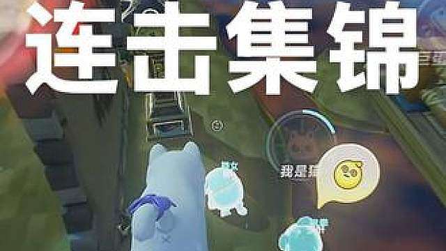 新手小猫的第一天